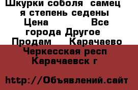 Шкурки соболя (самец) 1-я степень седены › Цена ­ 12 000 - Все города Другое » Продам   . Карачаево-Черкесская респ.,Карачаевск г.